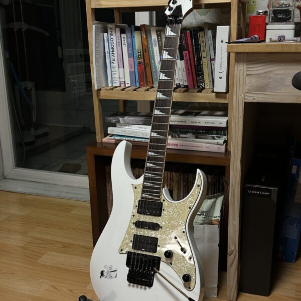 아이바네즈 RG350DX