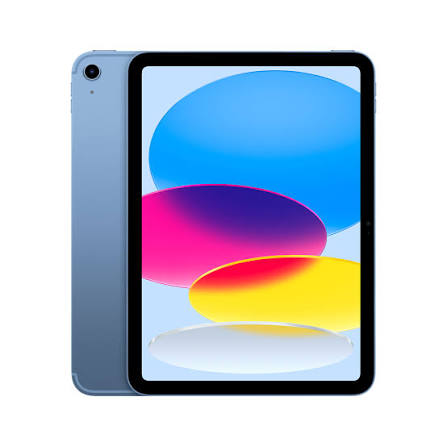 아이패드 256GB